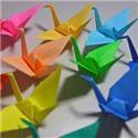 Veranstaltungsbild Origami die Kunst des Papierfaltens