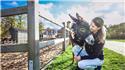 Veranstaltungsbild Fahrt und Picknick im  Dorf Sentana - Gnadenhof für Hunde, Pferde, Esel, Schafe und vielen weiteren Tieren in der Nähe von Bielefeld