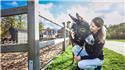 Veranstaltungsbild Fahrt und Picknick im Dorf Sentana - Gnadenhof für Hunde, Pferde, Esel, Schafe und vielen weiteren Tieren in der Nähe von Bielefeld